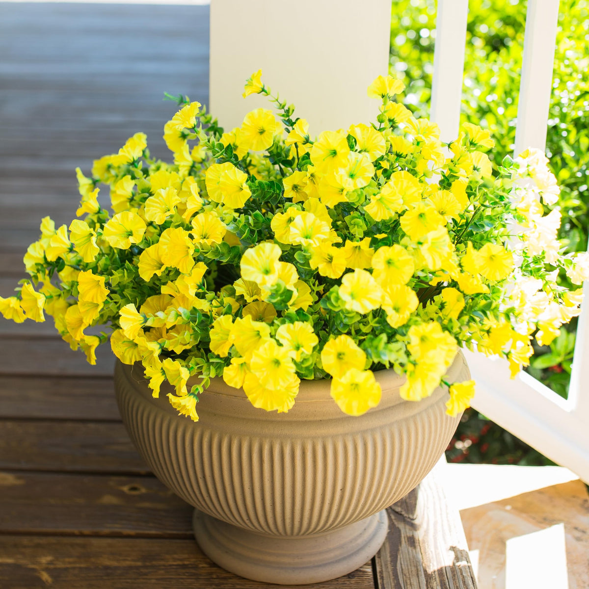 HyeFlora yellow morning glory with eucalyptus for outdoor planters