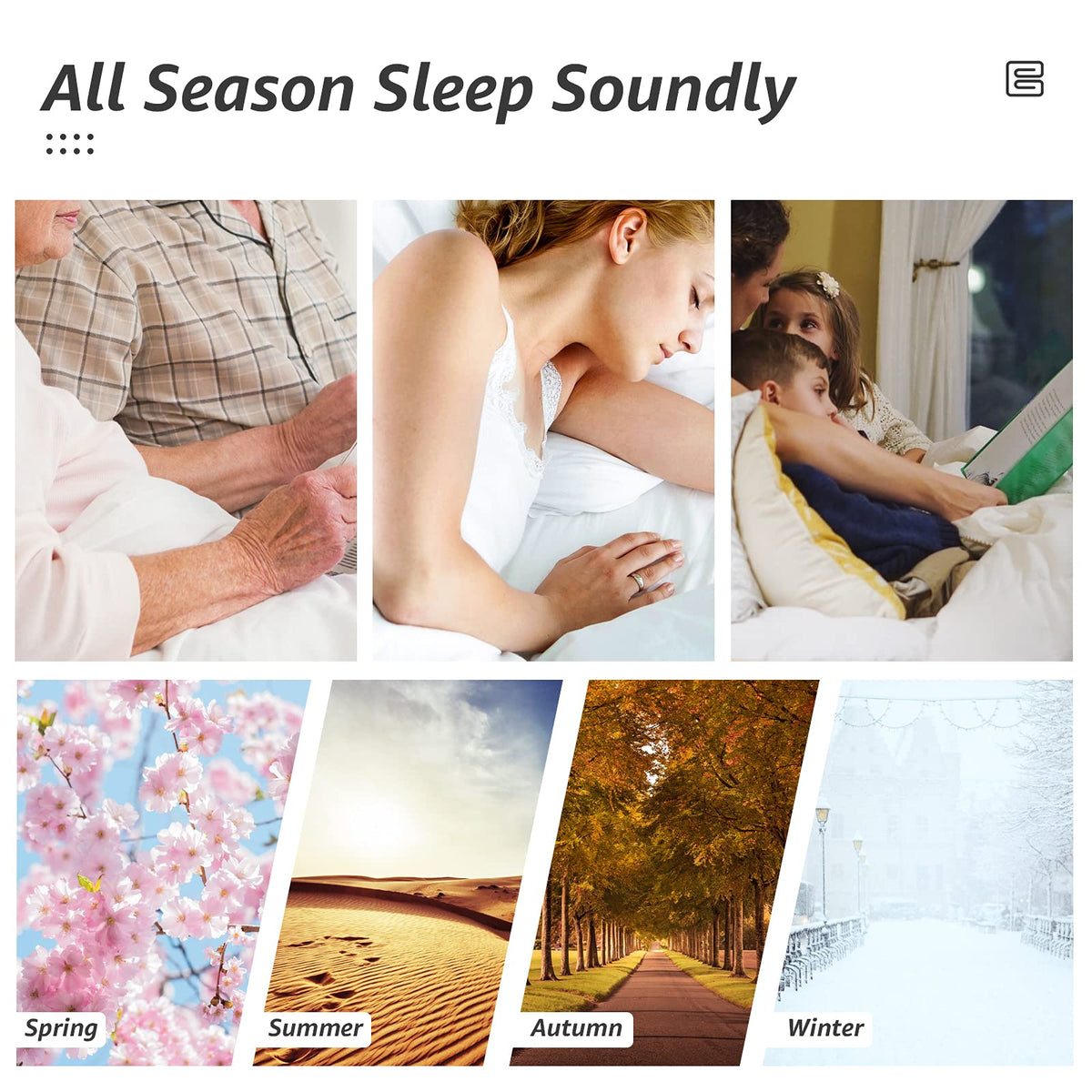 HYLEORY purple-toned comforter enhances a cozy bedroom setup and versatile styling.