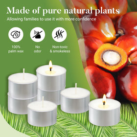 Hypmis palm wax tea lights provide smokeless, non-paraffin ambiance