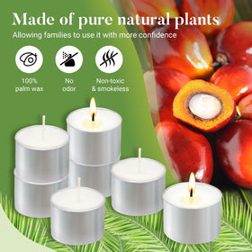 Unscented Hypmis tea candles with cotton wicks for clear ambiance.