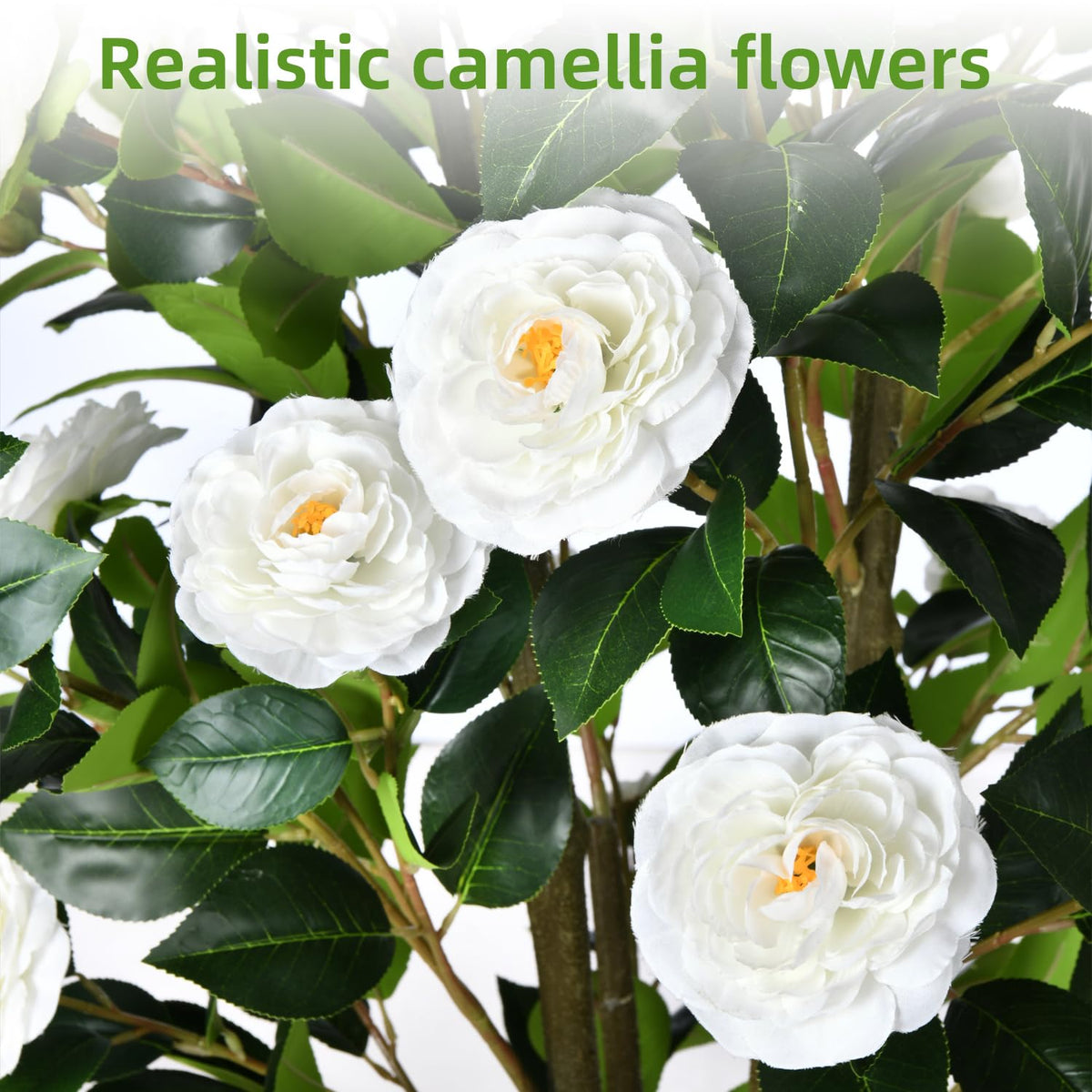 HZXGCP easy assembly for the 6ft camellia tree, quick setup without tools.