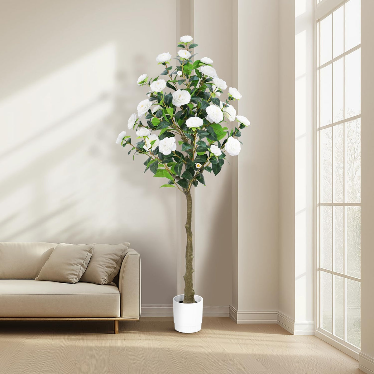 HZXGCP camellia tree on a patio demonstrates versatile decor for indoor or sheltered outdoor spaces.
