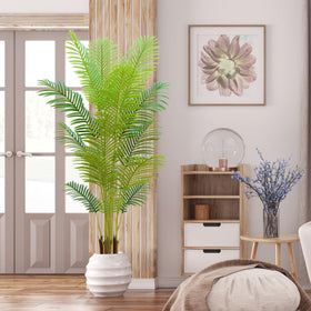 HZXGCP indoor palm fits living rooms, bedrooms, and offices with style.