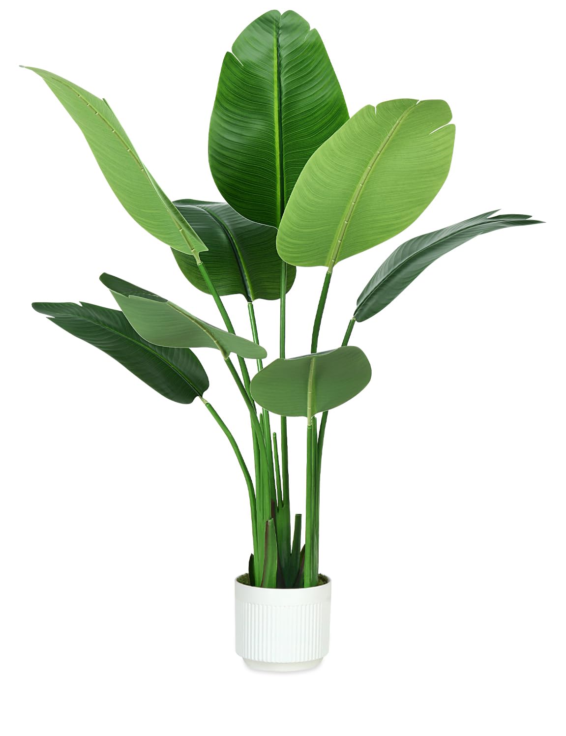 HZXGCP Bird of Paradise 4ft silk plant adds lush realism to any room.