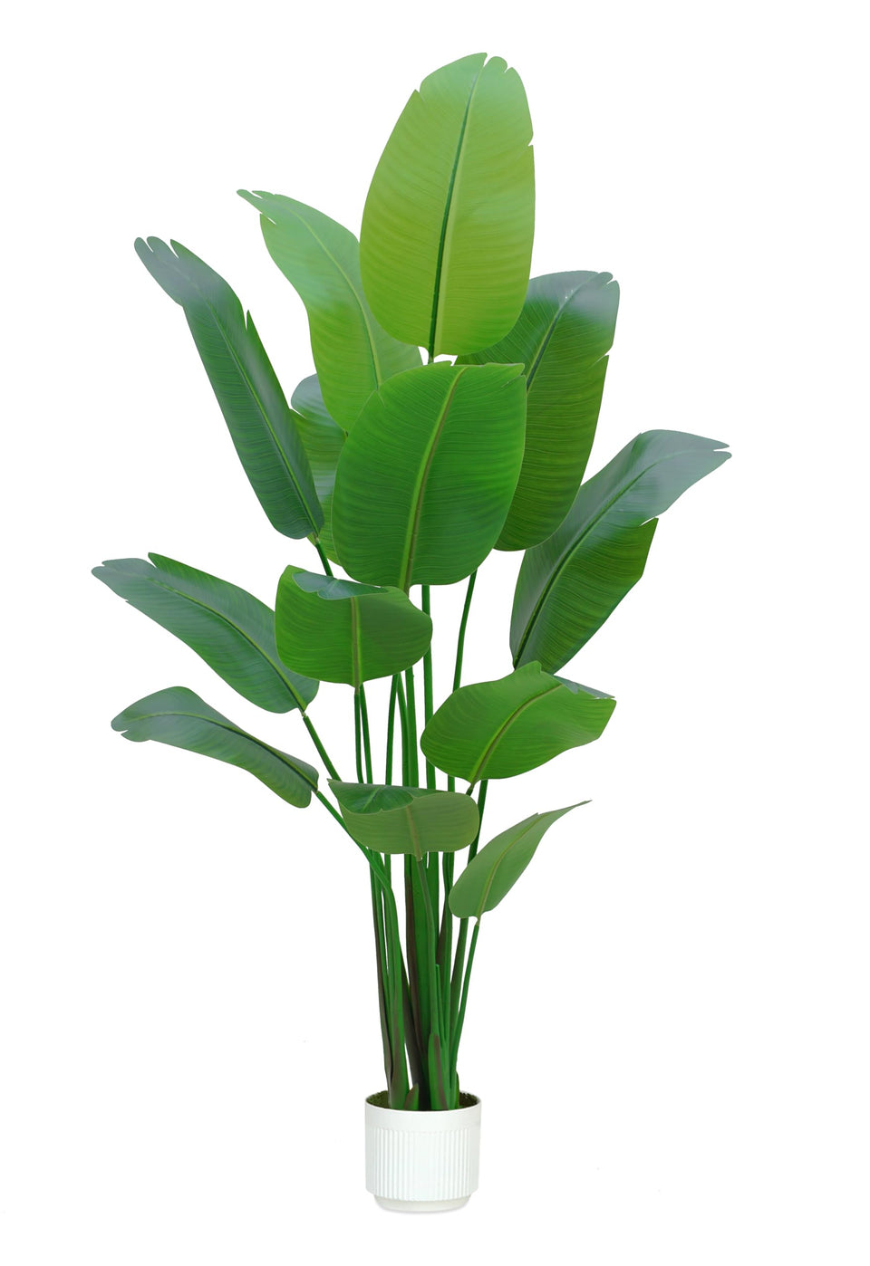 HZXGCP Bird of Paradise 7ft floor plant with lifelike silk leaves for timeless indoor decor.