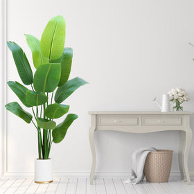 HZXGCP Bird of Paradise indoor/outdoor display in living space