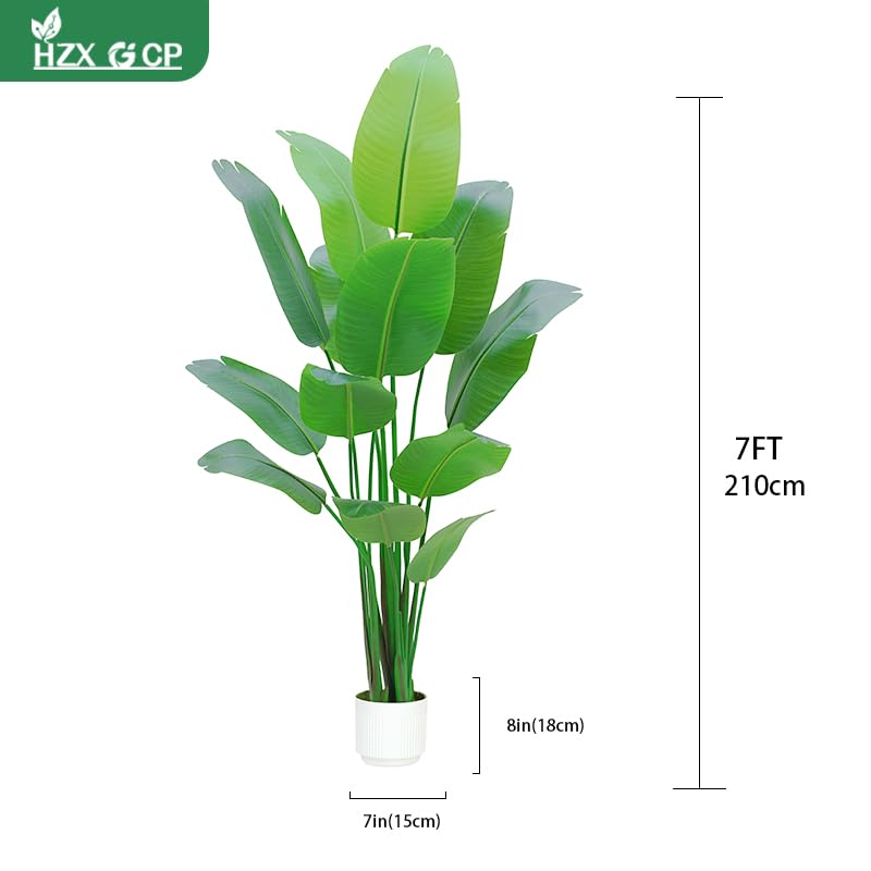 HZXGCP Bird of Paradise large oval leaves close up reveal vibrant color and texture.