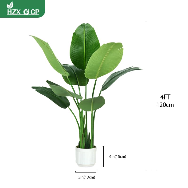 HZXGCP Bird of Paradise leaves close-up reveals vivid color for stylish decor.