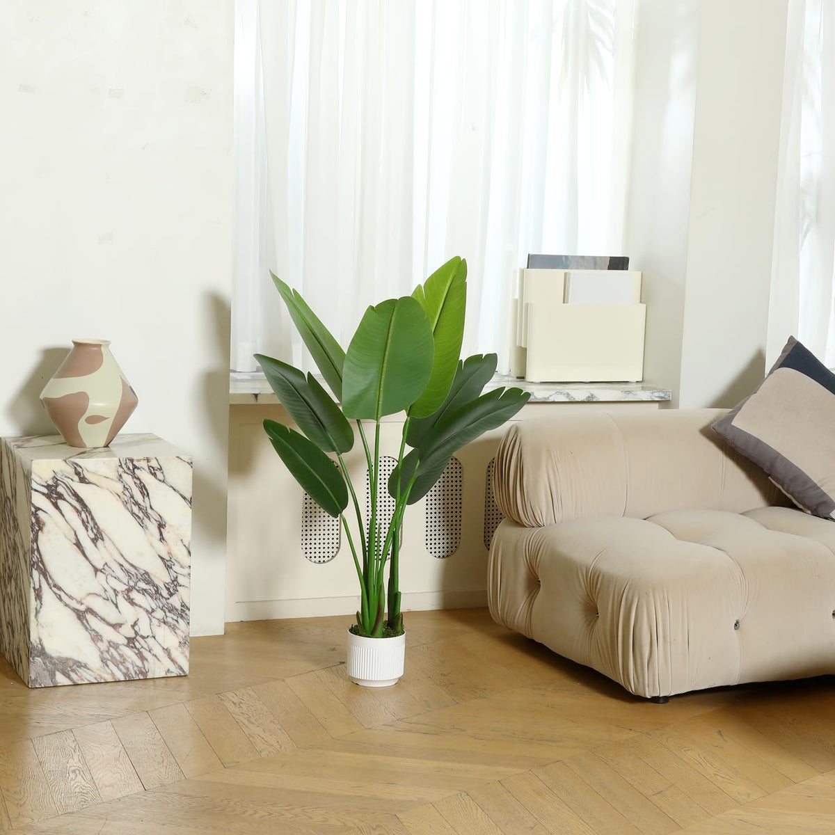 HZXGCP Bird of Paradise suitable for indoor or sheltered outdoor use.