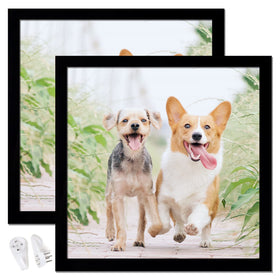 icariery 14x14 black square frame front view for wall gallery display