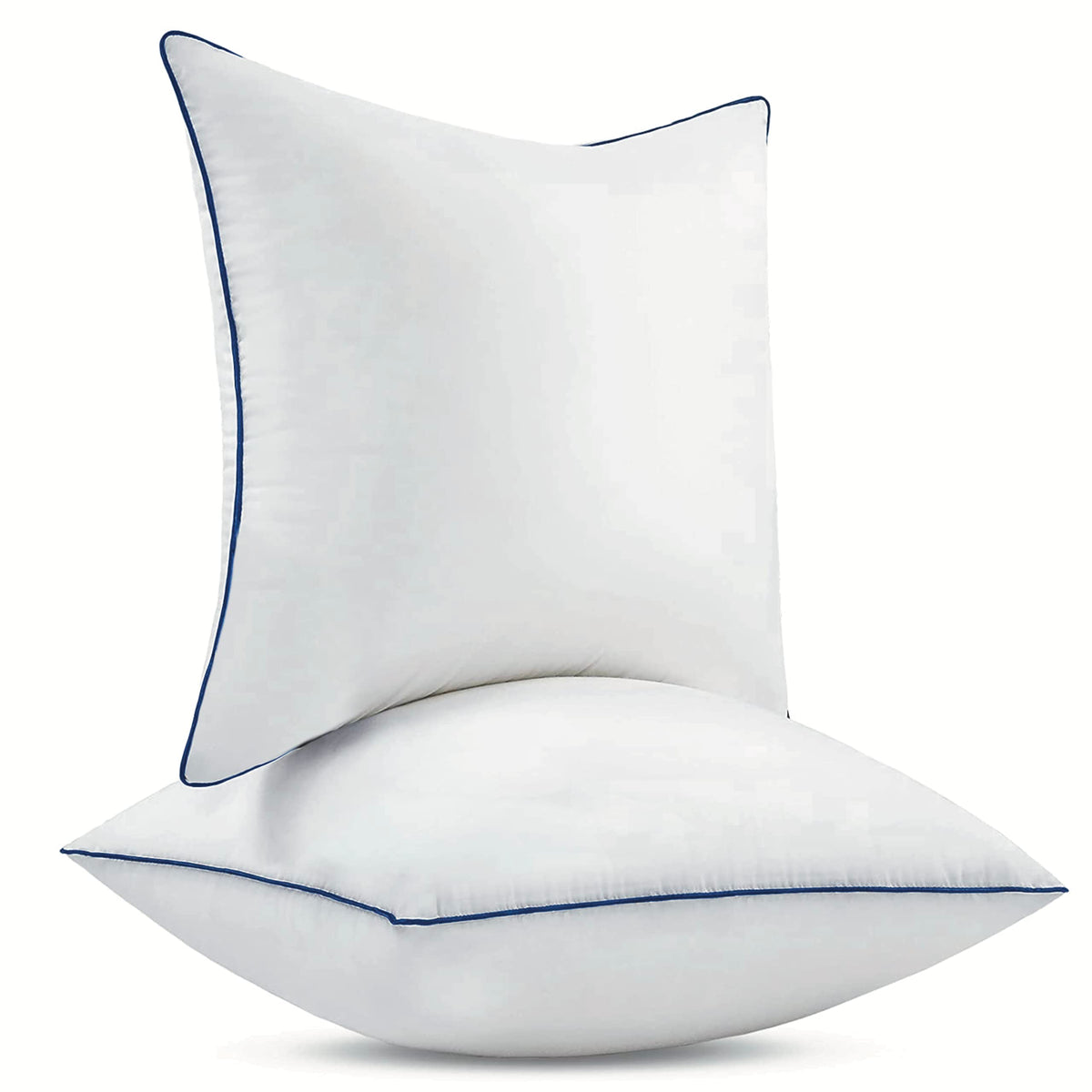 Ichrysania 18x18 pillow insert pack two ready for easy room styling.
