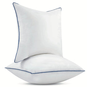 Ichrysania 18x18 pillow insert pack two ready for easy room styling.