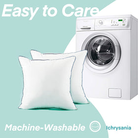 Ichrysania vacuum-packed shipping expands within 48 hours for ready-to-use.