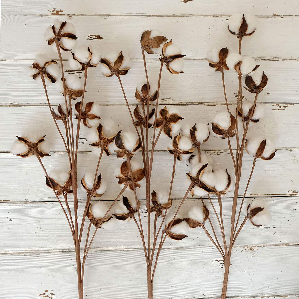 Idyllic cotton stem vase display enhances table decor with natural appeal.