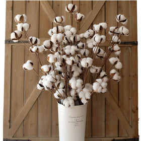 Idyllic cotton stems, 31 inches tall, ideal for tall vases and rustic displays.