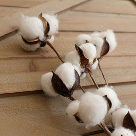 Idyllic dried cotton stems wall hang for cozy, country charm.