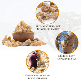 Igneous Frankincense resin, fresh harvest 2025, delivers a rich, resinous aroma.
