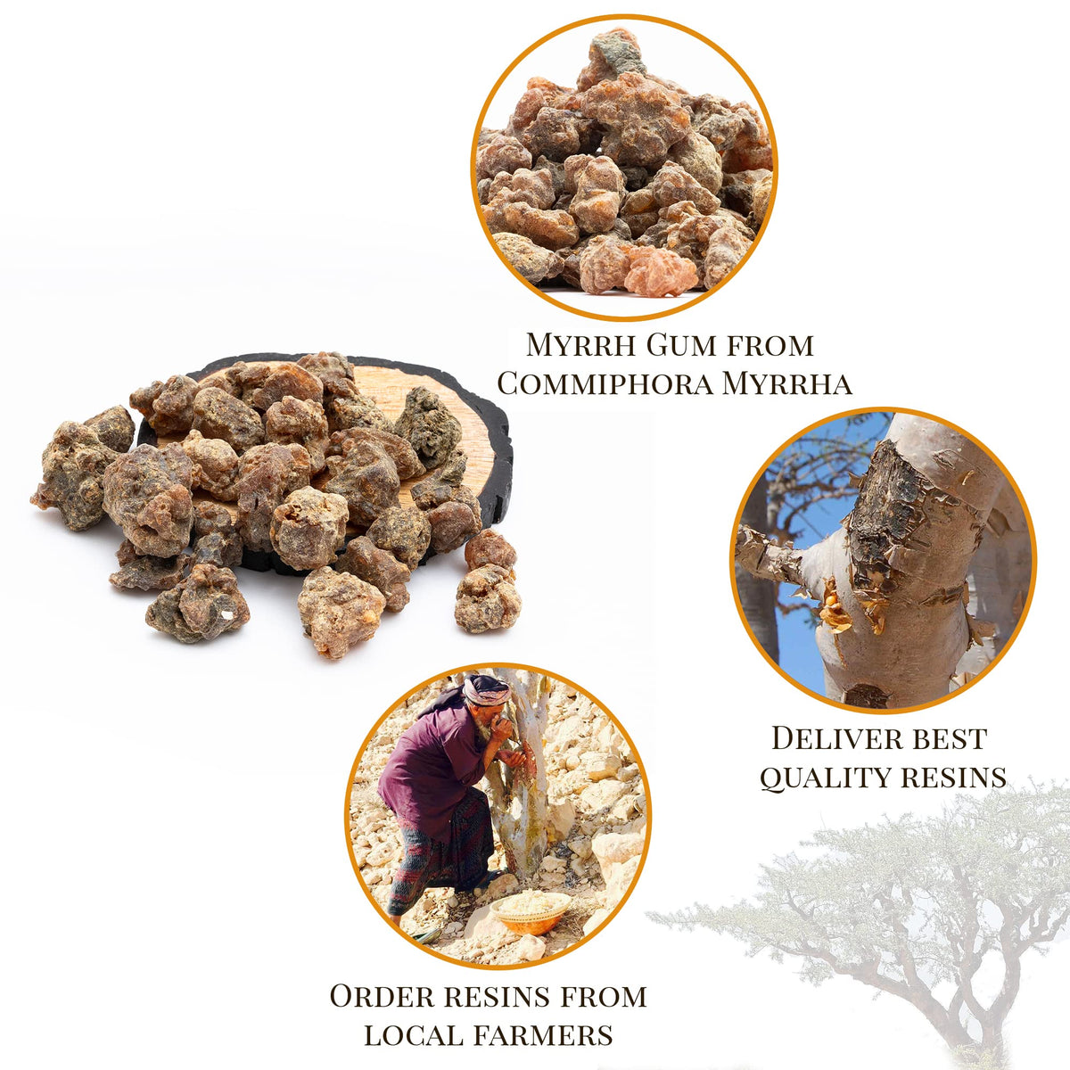 Igneous Products Myrrh Resin on a burning plate creates a calming atmosphere