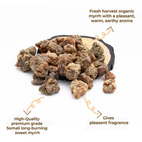 Close-up of Igneous Myrrh Resin chunks showing natural texture for aromatic burning