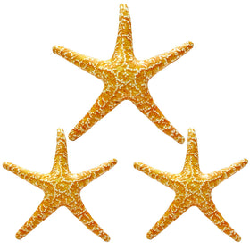 ILEISURELY starfish balloons brighten sea-themed parties and serve as a perfect photo prop.