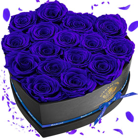 Impouo 16 preserved rose in blue heart box showing lasting beauty.