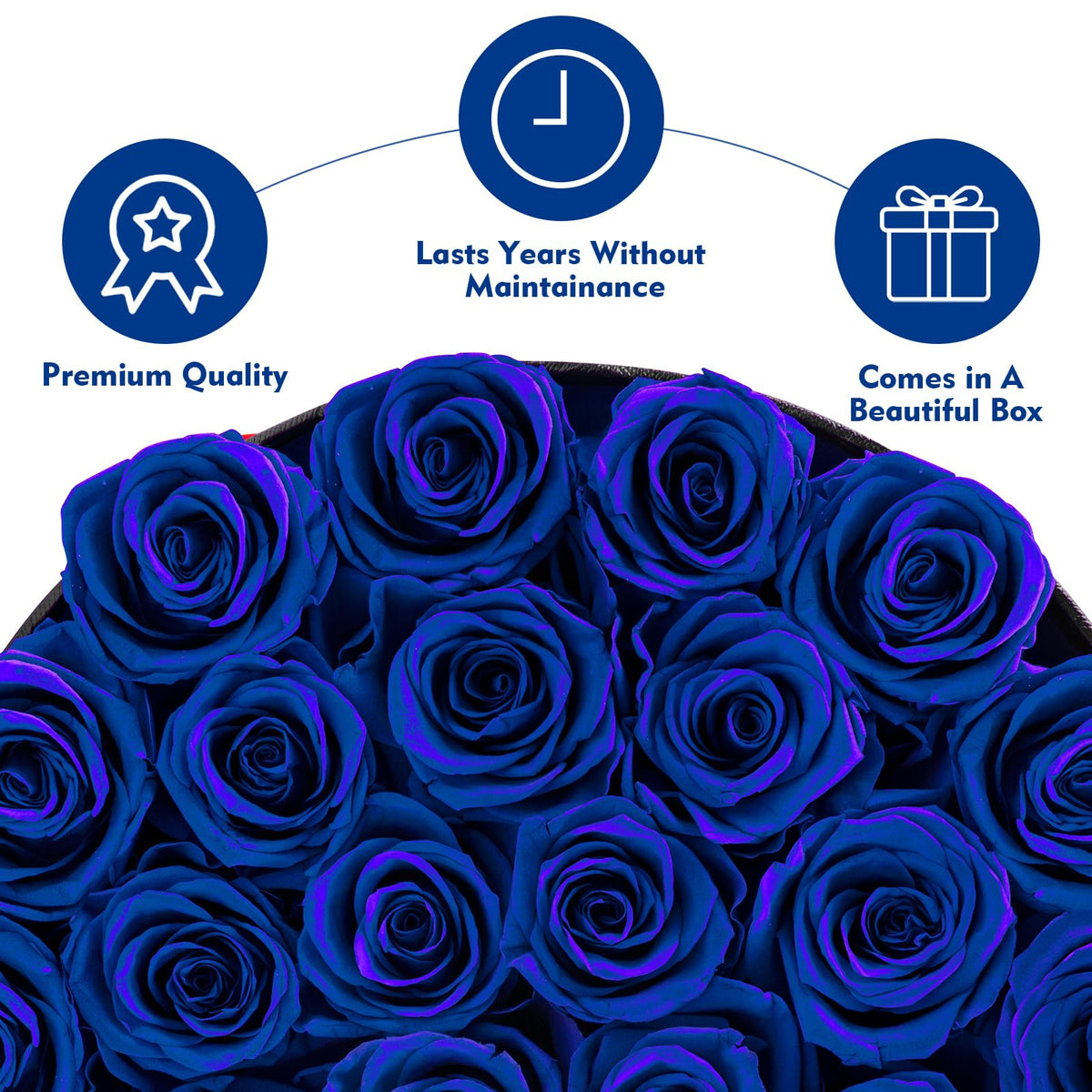 Anniversary gift idea: Impouo Forever Flowers blue roses in box.