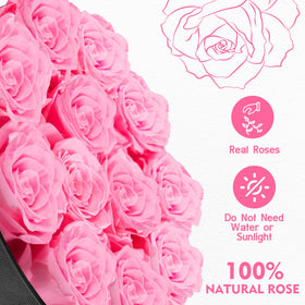 Impouo Forever Flowers champagne roses in box, elegant celebration