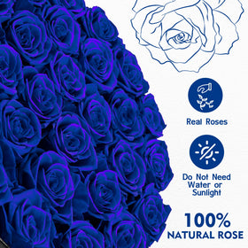 Detail shot of velvety petals and blue color in Impouo Forever Flowers.