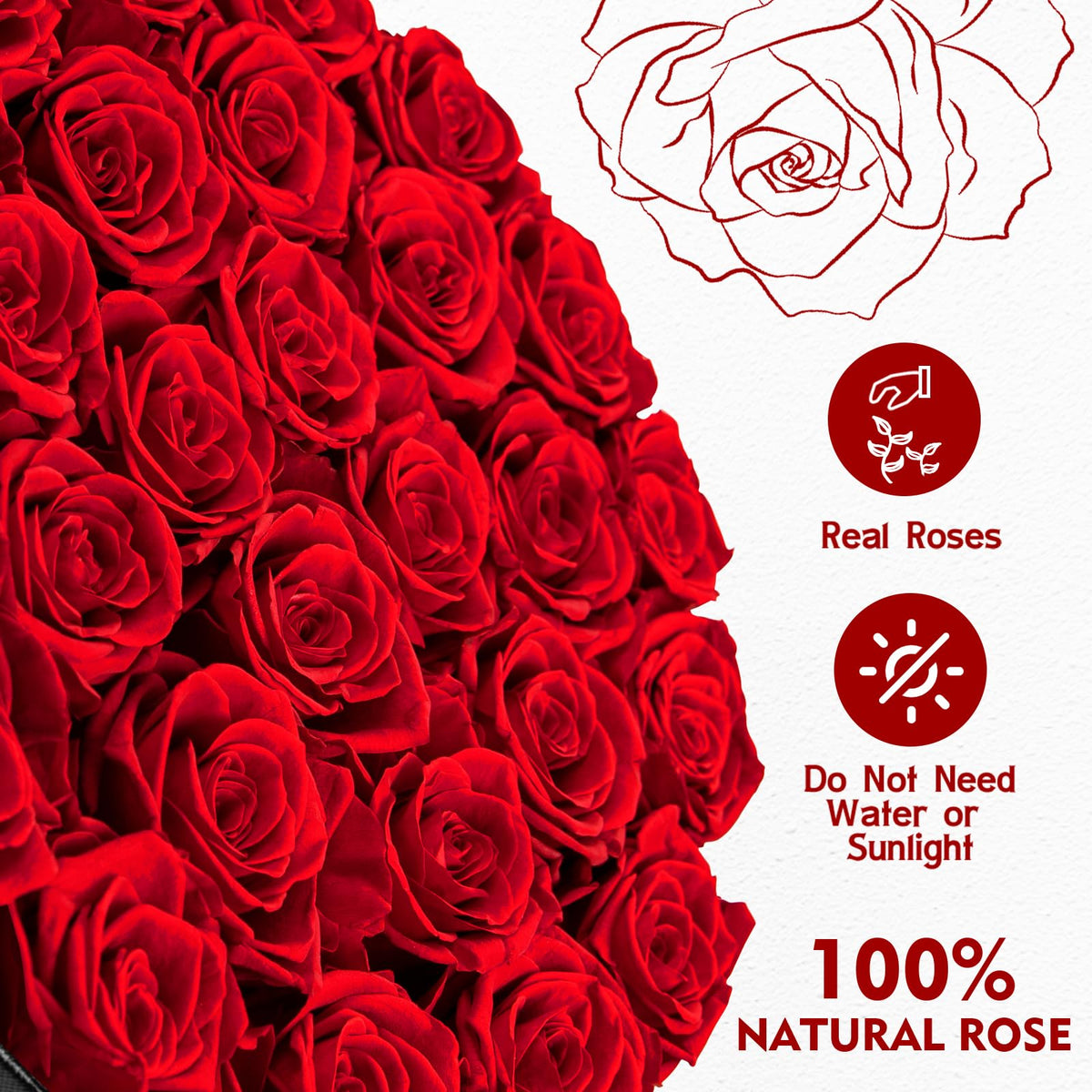 Impouo Mother's Day rose box offering a timeless keepsake for her.