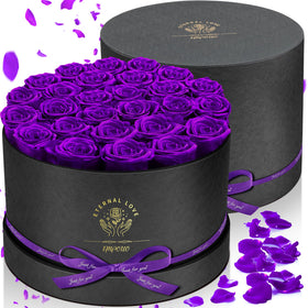 Impouo preserved roses purple closeup highlighting rich color and petal texture.