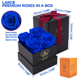 Impouo unboxing blue roses, presenting a stylish keepsake bouquet.