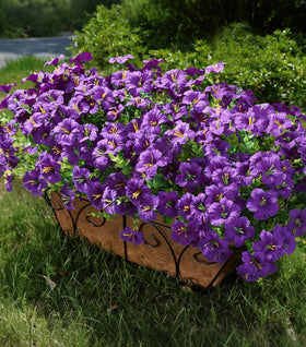 INSPRING artificial petunia with eucalyptus bundles for durable outdoor displays.