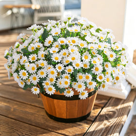 INSPRING outdoor daisies beside the front door add fresh curb appeal.