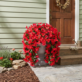 INSPRING outdoor bougainvillea vines on porch railing, vivid red