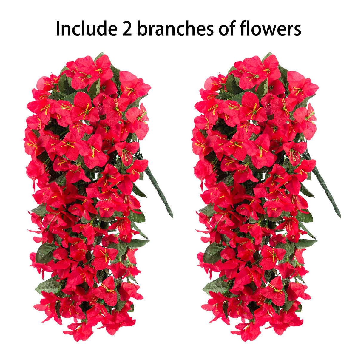 INSPRING UV-resistant bougainvillea vines maintaining color in sun