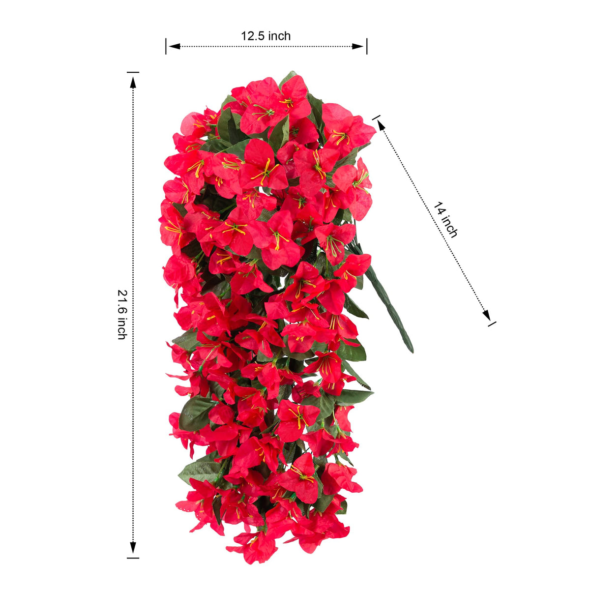 INSPRING red bougainvillea trailing plants along garden path