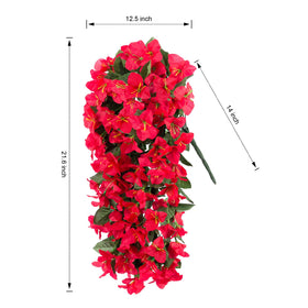 INSPRING red bougainvillea trailing plants along garden path