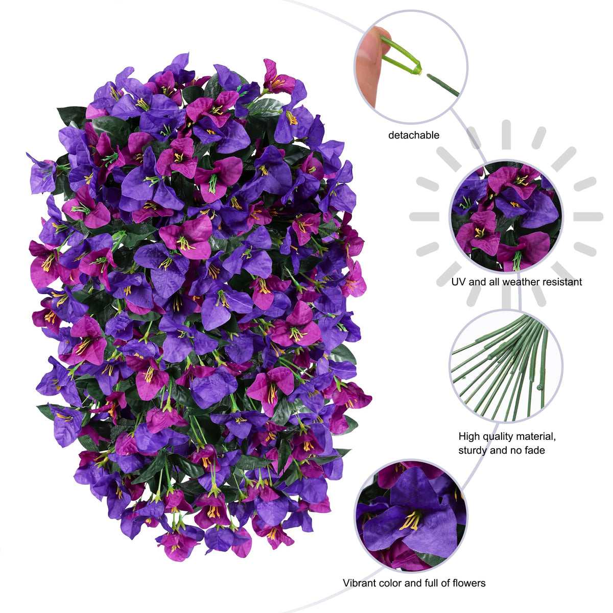 INSPRING low maintenance bougainvillea vines for easy styling