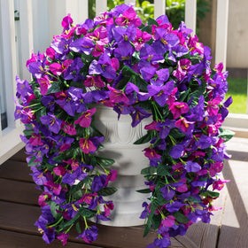 INSPRING outdoor bougainvillea vines UV resistant for lasting color