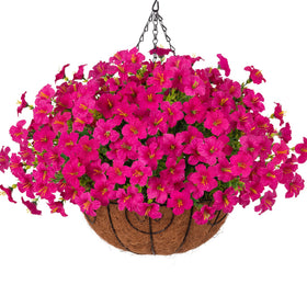 INSPRING petunias hanging basket outdoors adds vibrant color to your porch
