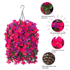 INSPRING purple bougainvillea bloom adds vibrant curb appeal.