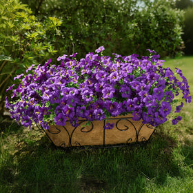 INSPRING UV resistant outdoor flowers stay vibrant in sunlight.