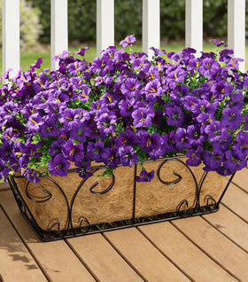 INSPRING waterproof silk flowers endure rain and shine.