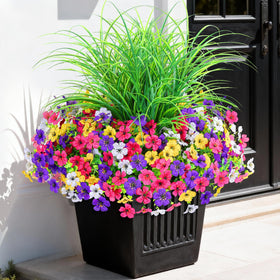 INQCMY window box garden with these flowers requires little maintenance.