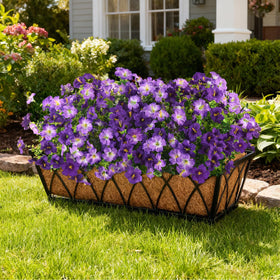 INQCMY artificial yellow petunia bloom provides sunny contrast for patios.
