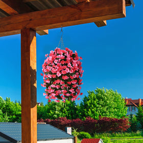 INQCMY begonia in basket adds vibrant curb appeal to porch, patio, or balcony