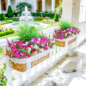 INQCMY daisies with greenery offer versatile porch and interior styling.
