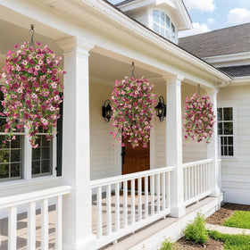 INQCMY eucalyptus-daisy blend adds natural charm to urban garden decor.