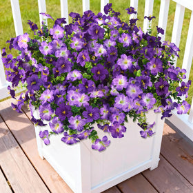 INQCMY morning glory with eucalyptus bundle ideal for UV-resistant outdoor decor.