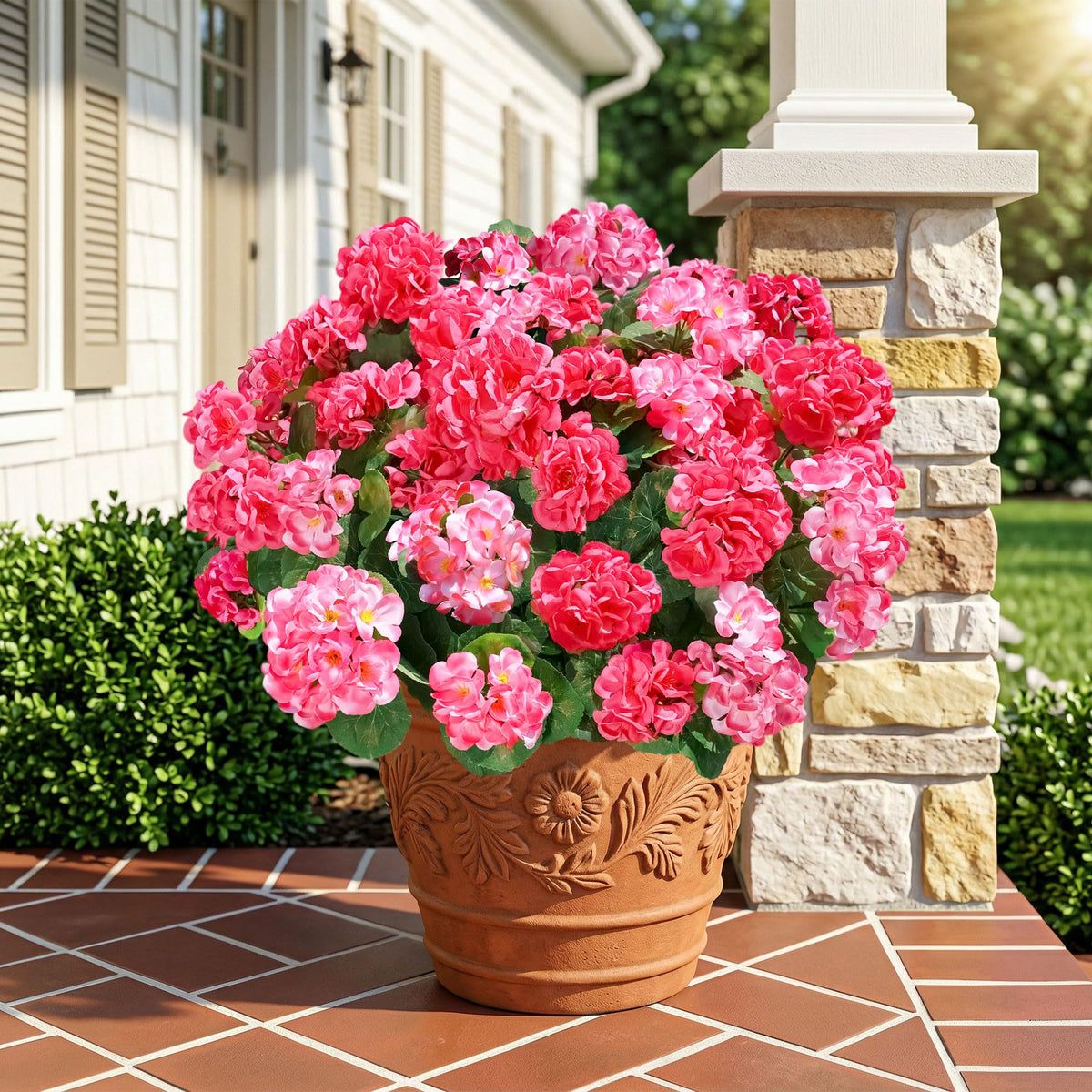INSPRING six-bundles pack arranged for balcony decor and low-maintenance styling.